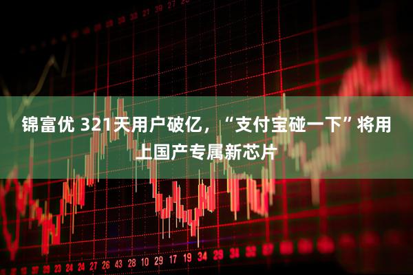 锦富优 321天用户破亿，“支付宝碰一下”将用上国产专属新芯片