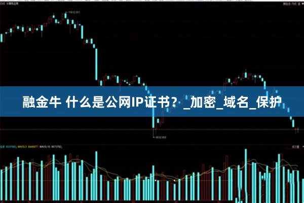 融金牛 什么是公网IP证书？_加密_域名_保护