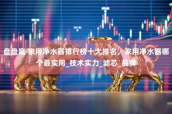 盘盘赢 家用净水器排行榜十大排名，家用净水器哪个最实用_技术实力_滤芯_品牌
