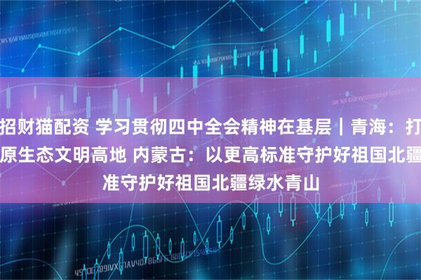 招财猫配资 学习贯彻四中全会精神在基层｜青海：打造青藏高原生态文明高地&#32;内蒙古：以更高标准守护好祖国北疆绿水青山