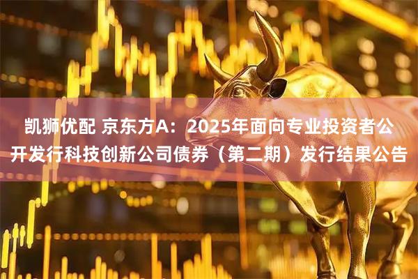 凯狮优配 京东方A：2025年面向专业投资者公开发行科技创新公司债券（第二期）发行结果公告