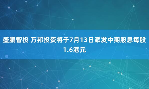 盛鹏智投 万邦投资将于7月13日派发中期股息每股1.6港元